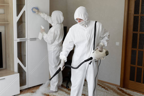 Best Commercial Mold Removal  in West Ishpeng, MI