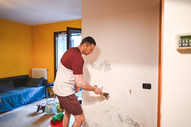 Best Fast Mold Removal  in West Ishpeng, MI